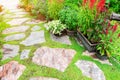 BeautifulÃÆÃâÃâ Ã¢â¬â¢ÃÆÃÂ¢ÃÂ¢Ã¢â¬Å¡ÃÂ¬Ãâ¦ÃÂ¡ÃÆÃâÃÂ¢Ã¢âÂ¬ÃÂ¡ÃÆÃ¢â¬Å¡ÃâÃÂ garden and stone path and blooming flower and tree with green leaves